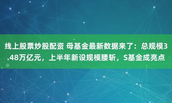 线上股票炒股配资 母基金最新数据来了:总规模3.48万亿元,上半年新设规模腰斩,S基金成亮点