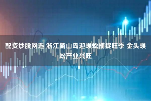 配资炒股网选 浙江衢山岛迎蜈蚣捕捉旺季 金头蜈蚣产业兴旺