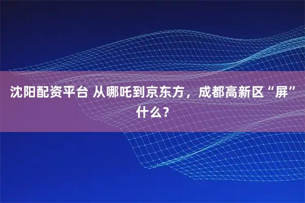 沈阳配资平台 从哪吒到京东方，成都高新区“屏”什么？